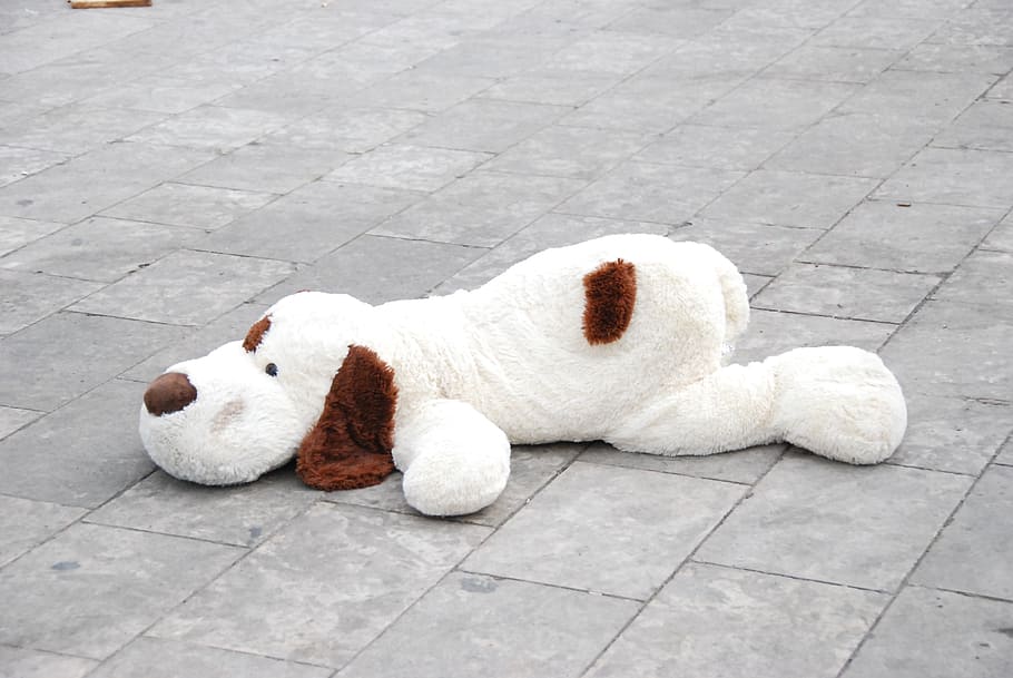 white and brown dog plush toy on pavement floor, Street, Give Up, HD wallpaper