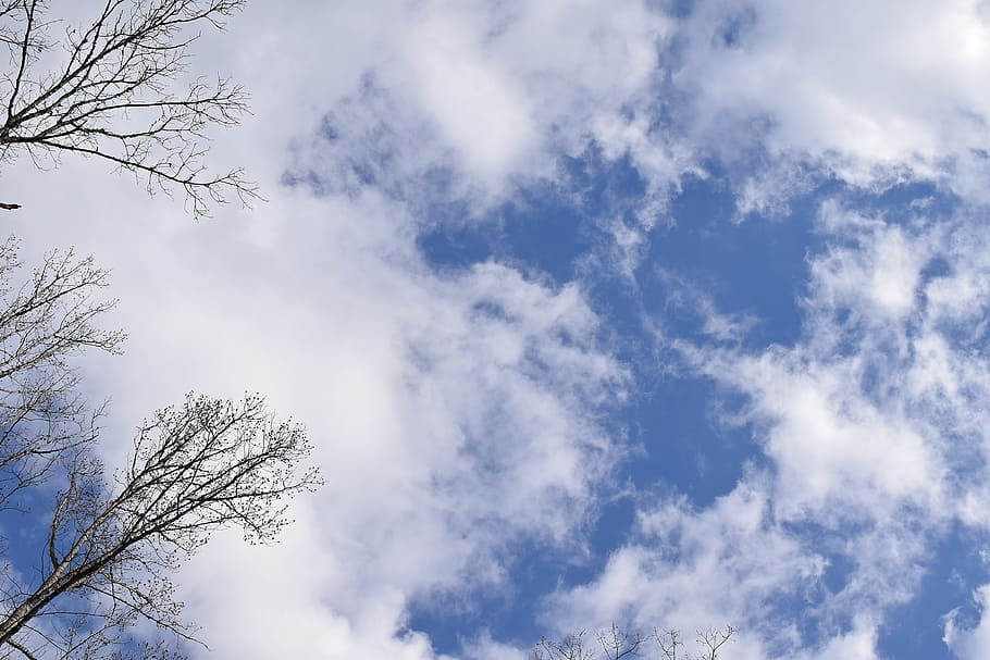 Clouds, Blue Sky, wispy clouds, landscape, nature, cloudscape HD wallpaper
