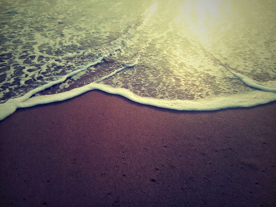 nice, beautiful, beach, sunlight, yellow, green, water, outdoor HD wallpaper