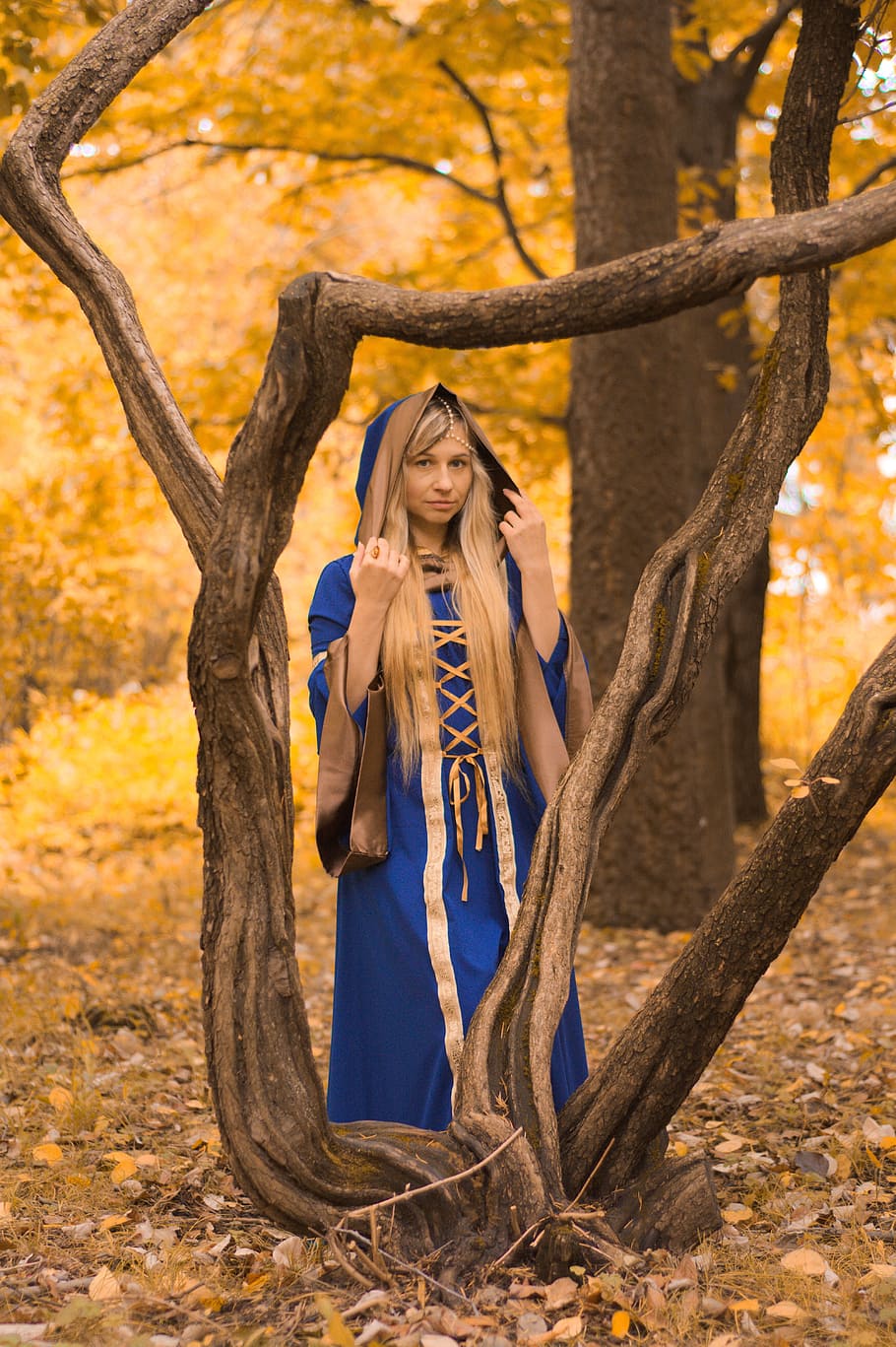 woman wearing blue and gold dress standing beside tree, magic HD wallpaper