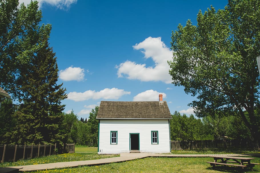 white wooden house between trees, white and brown wooden house surrounded by green leafed trees HD wallpaper
