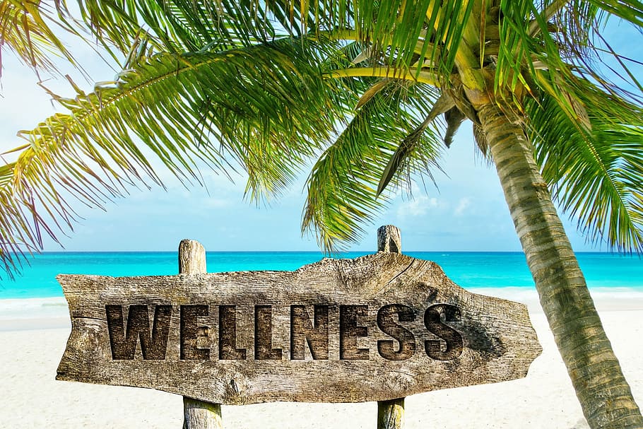 Wellness signage near palm tree, beach, sand, island, tropical, HD wallpaper