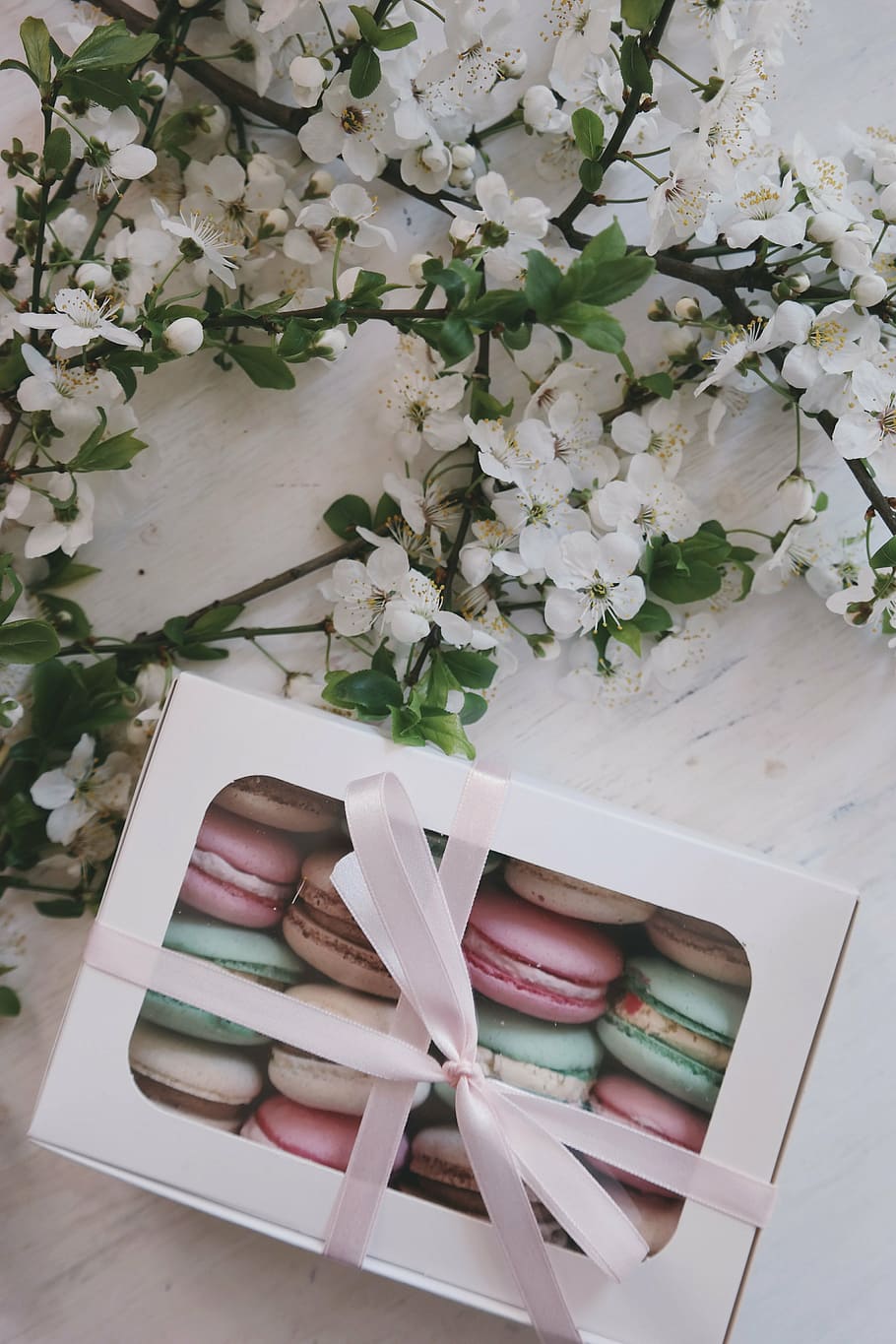 macarons in box in white petaled flowers on table, bloom, garden HD wallpaper