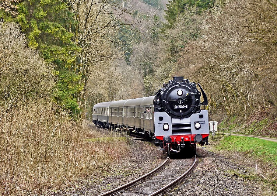 gray train between tree during daytime, steam locomotive, special train