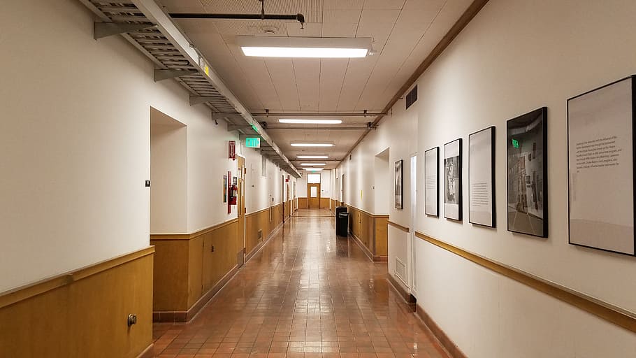 Corridor, Hallway, Interior, university of washington seattle, HD wallpaper