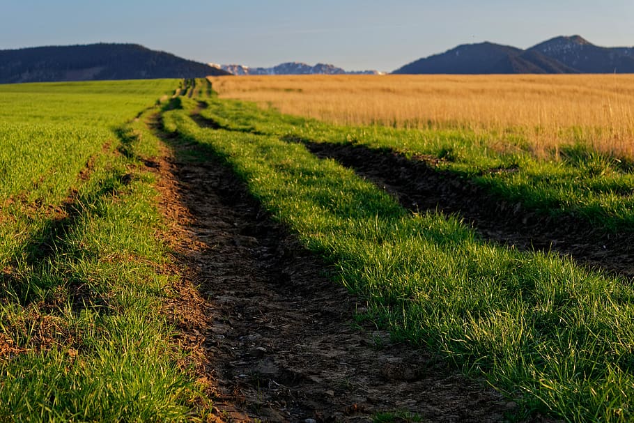 path, field, mountains, meadow, country, nature, the sky, grass HD wallpaper