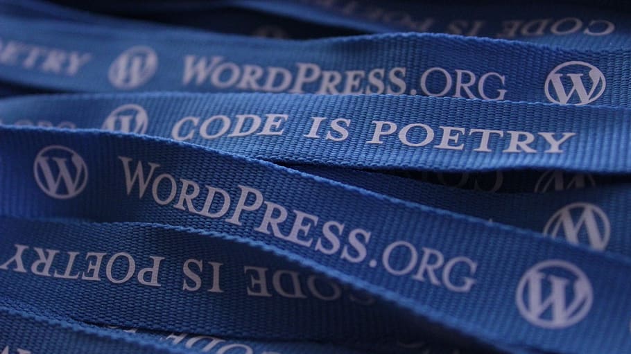 Wordpress.org lanyard, lanyards, blog, blogging, blue, logo HD wallpaper