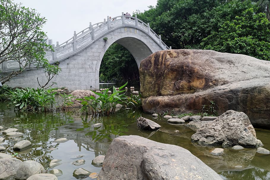 china, shenzhen, park, nature, garden, landscape, bridge, water, HD wallpaper