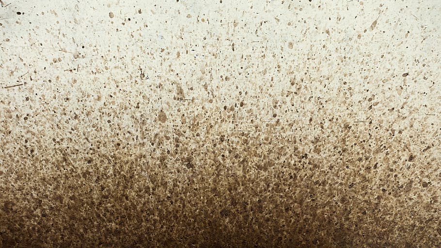 brown dirt on mirror, background, texture, wall, mud, splatter HD wallpaper