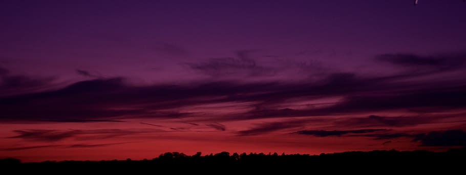 sunset, clouds, sky, nature, trees, cloud - sky, silhouette HD wallpaper