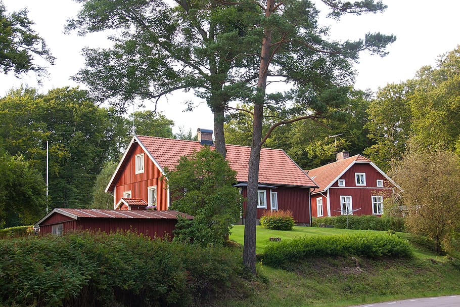 forest, woods, house, red, lawn, grass, trees, vegetation, swedish HD wallpaper