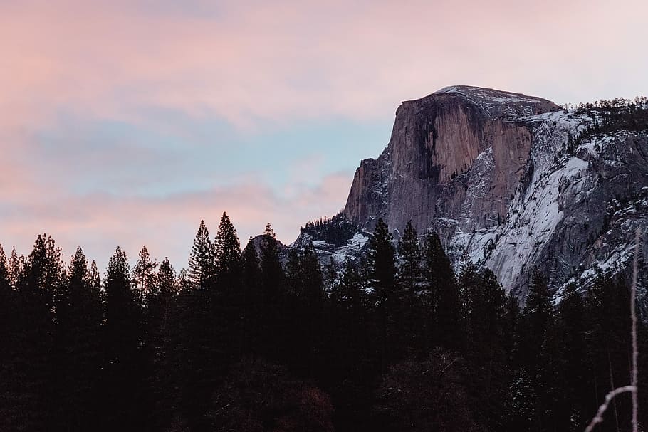 silhouette of trees beside mountain, landscape photography of brown mountains near green trees HD wallpaper