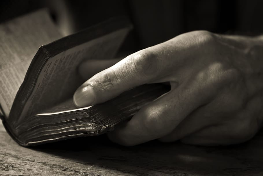 Hand, Man, Book, Old, Person, People, human Hand, religion HD wallpaper