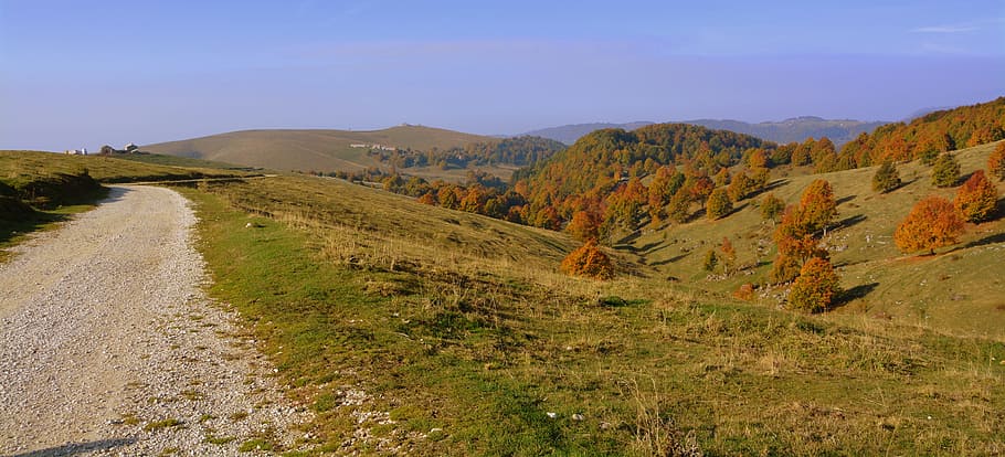excursion, trees, autumn, trail, mountain, the european path HD wallpaper