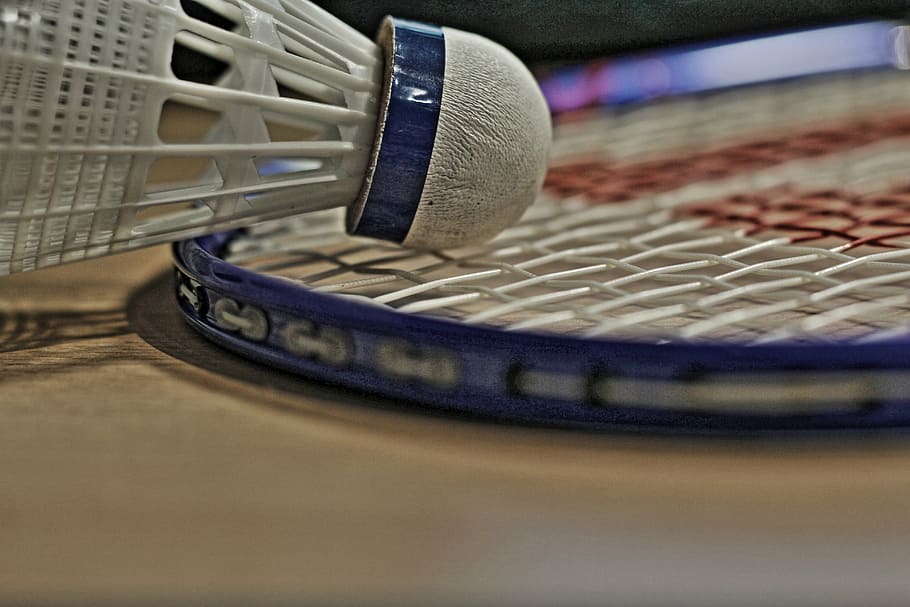 blue Wilson badminton racket, bat, sport, leisure, ball, recreational sports