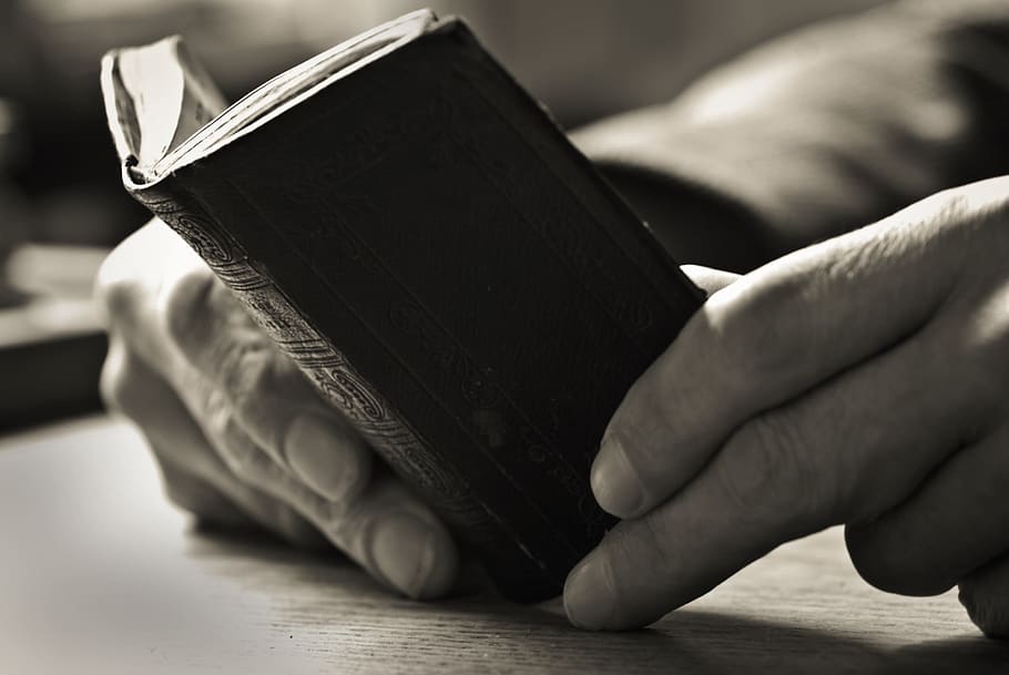 person holding mini book, hand, man, people, human hand, human body part HD wallpaper