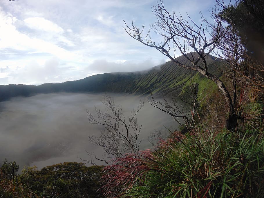 mountain, fog, trees, grass, philippines, old crater, volcano HD wallpaper