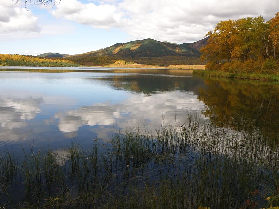 lake, mountains, tundra, river, forest, duct, autumn, swamp, HD wallpaper