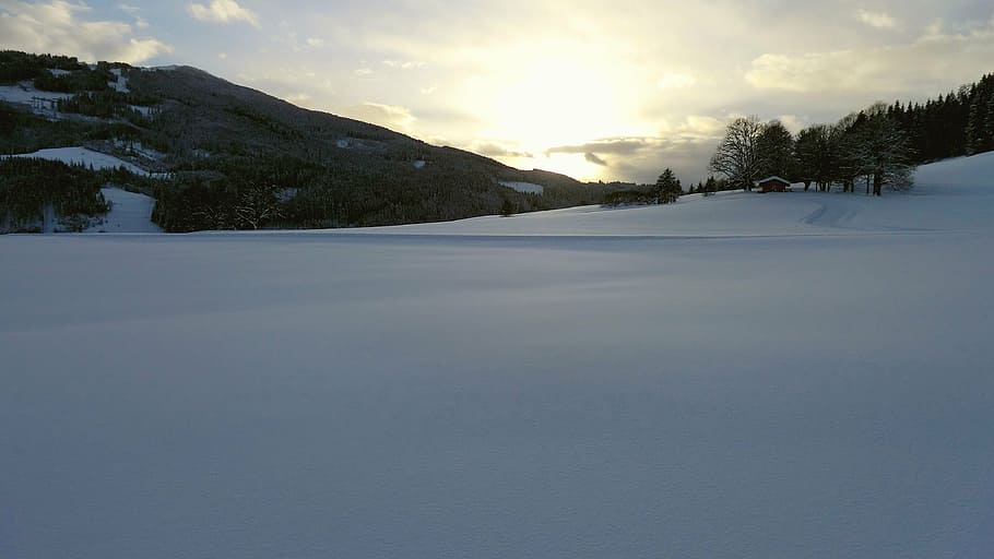 snow, winter, white, wintry, nature, cold, snowy, back light HD wallpaper