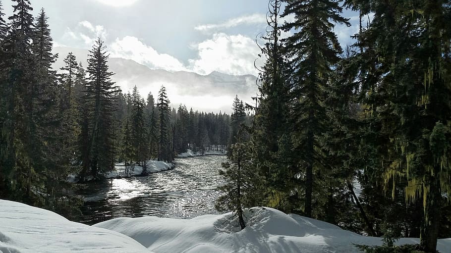 Snow, River, River, Mountains, Cold, Forest, water, tree, nature HD wallpaper