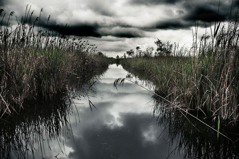 Swamp, Water, Clouds, reflection, lake, outdoors, nature, no people HD wallpaper
