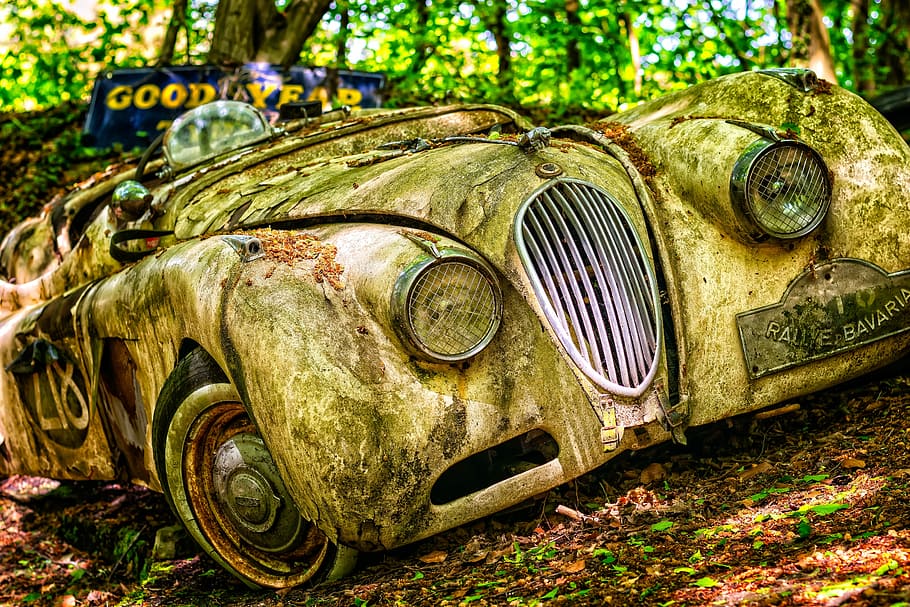 classic gold vehicle near green leaf tree, pkw, auto, jaguar HD wallpaper