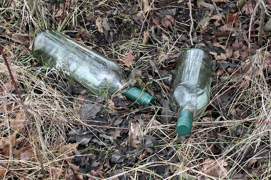 Bottle, Bottles, Glass, Garbage, Wine, throw away society, on the side of the road HD wallpaper