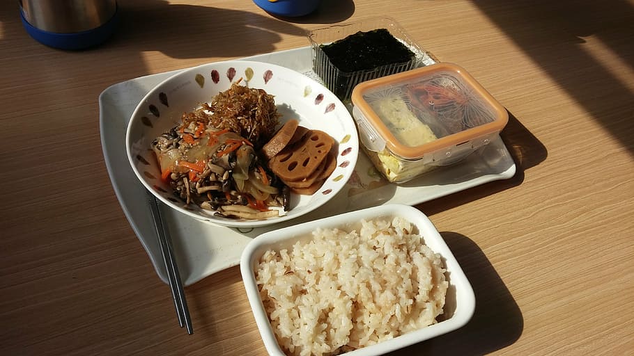 cooked rice and dish on plates, lunch box, bob, laver, burdock HD wallpaper