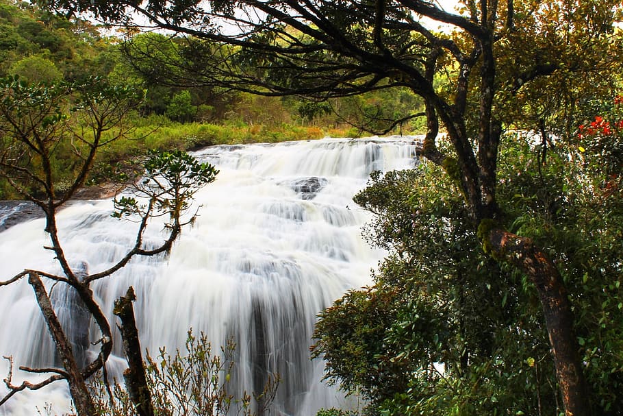 water, fall, nuwaraeliya, waterfall, landscape, wilderness HD wallpaper