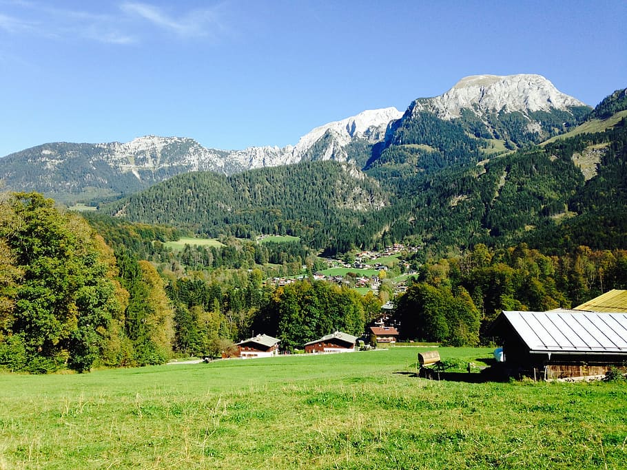 Alm, Bavaria, Pasture, Germany, Alpine, meadow, cow, sky, allgäu, HD wallpaper
