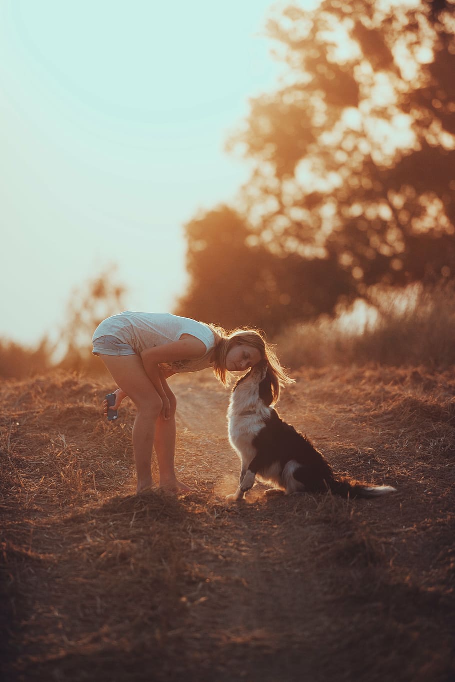 white and black dog kissing woman on head during daytime, sunset, HD wallpaper
