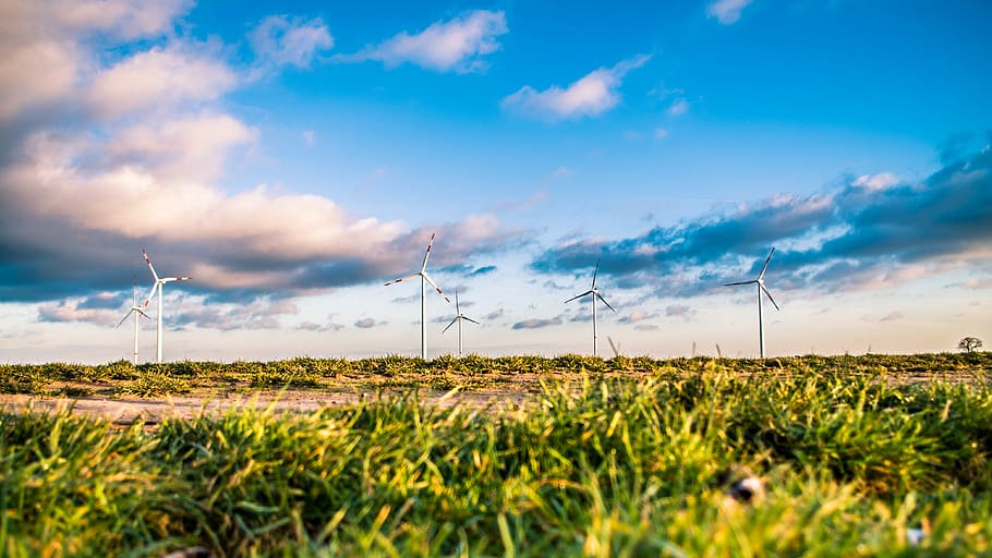 low-angle photo of green grass under blue sky, landscape photo of wind turbines on grass field HD wallpaper