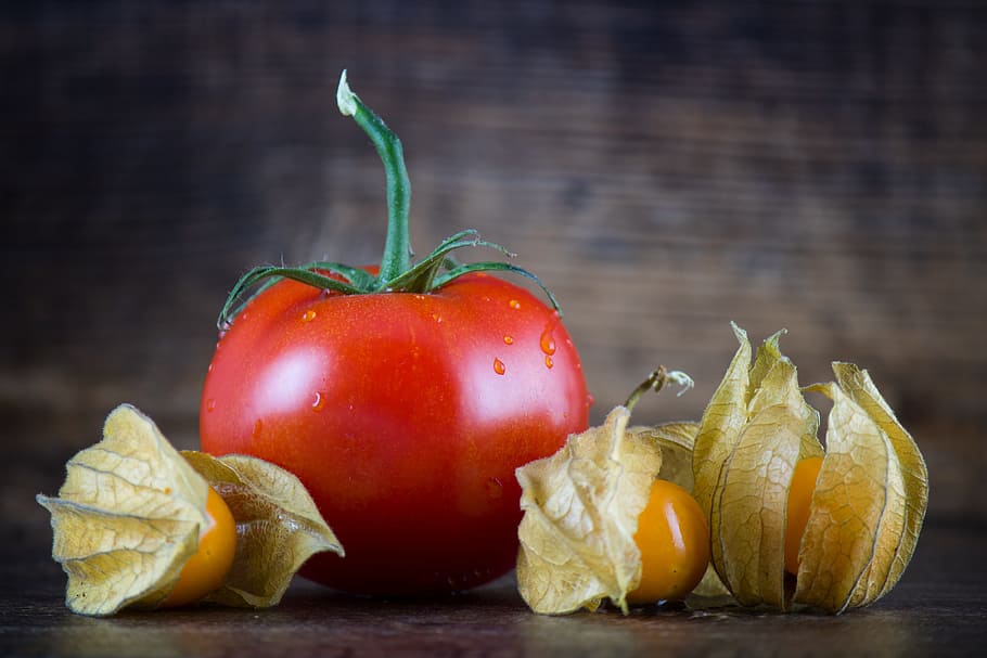red tomato, physalis, vegetables, food, healthy, frisch, vegetarian HD wallpaper