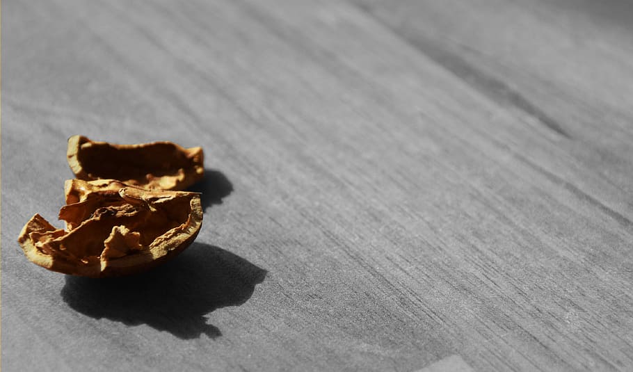 Nut, Shell, Eat, Broken Up, autumn, no people, food and drink HD wallpaper