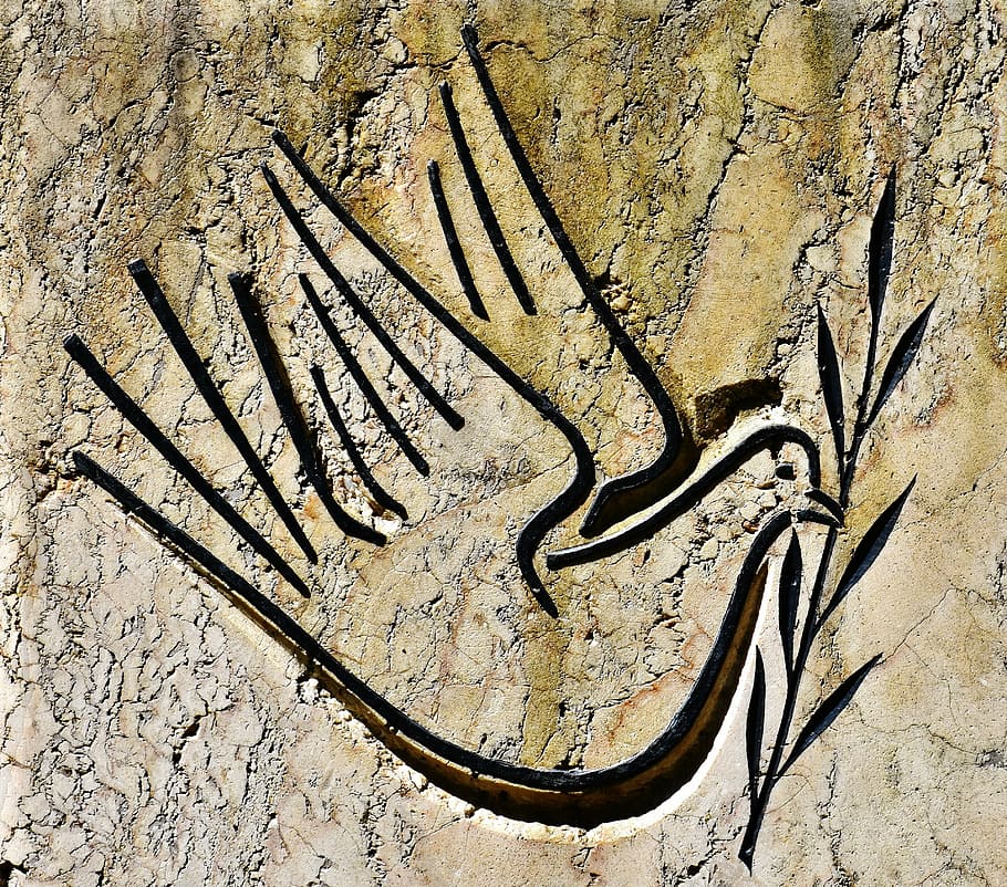 bird, abstract, stone wall, peace, no people, wall - building feature HD wallpaper