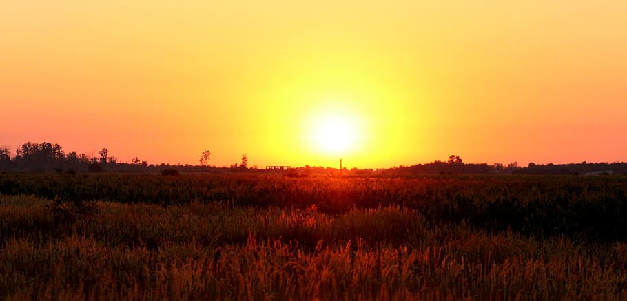 Sunrise, Plain, sky, red, sunset, nature, field, scenics, tranquility HD wallpaper