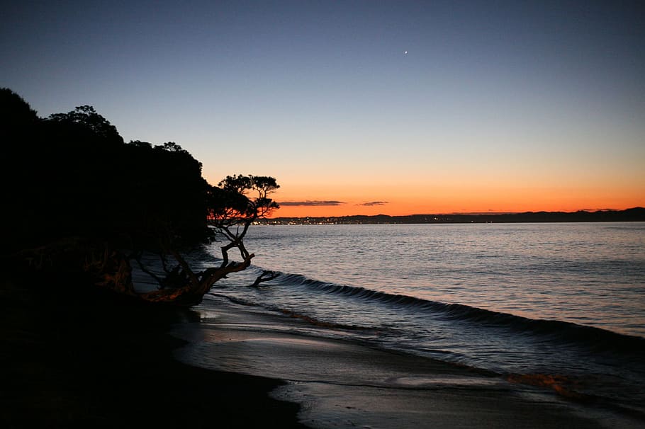 sunset, beach, sea, evening, cloudless, sky, water, scenics - nature HD wallpaper