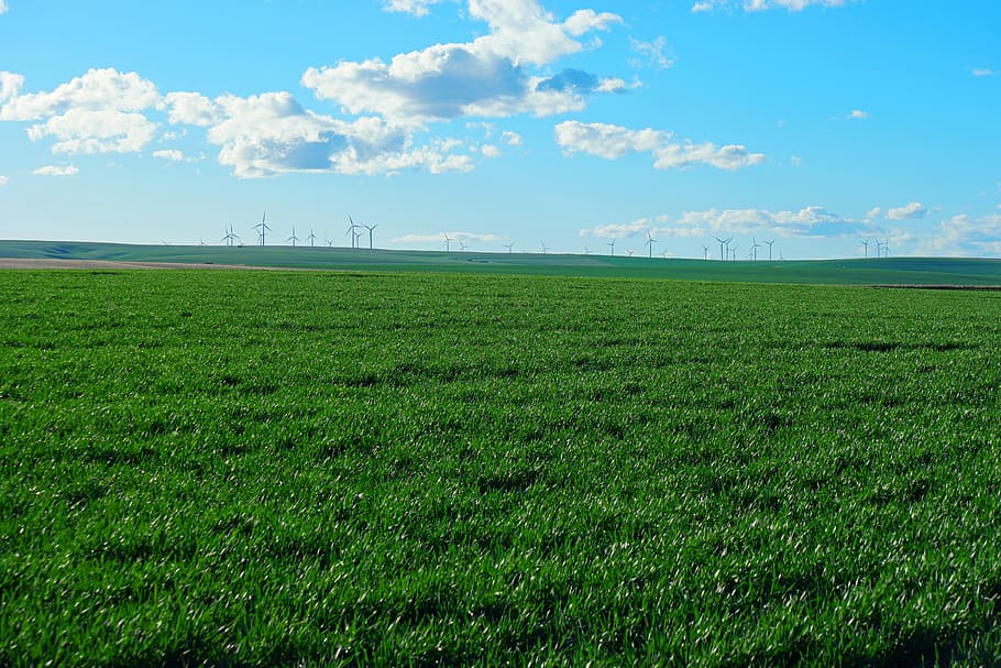 Energy, Windmill, Wind, Power, electricity, environment, renewable HD wallpaper