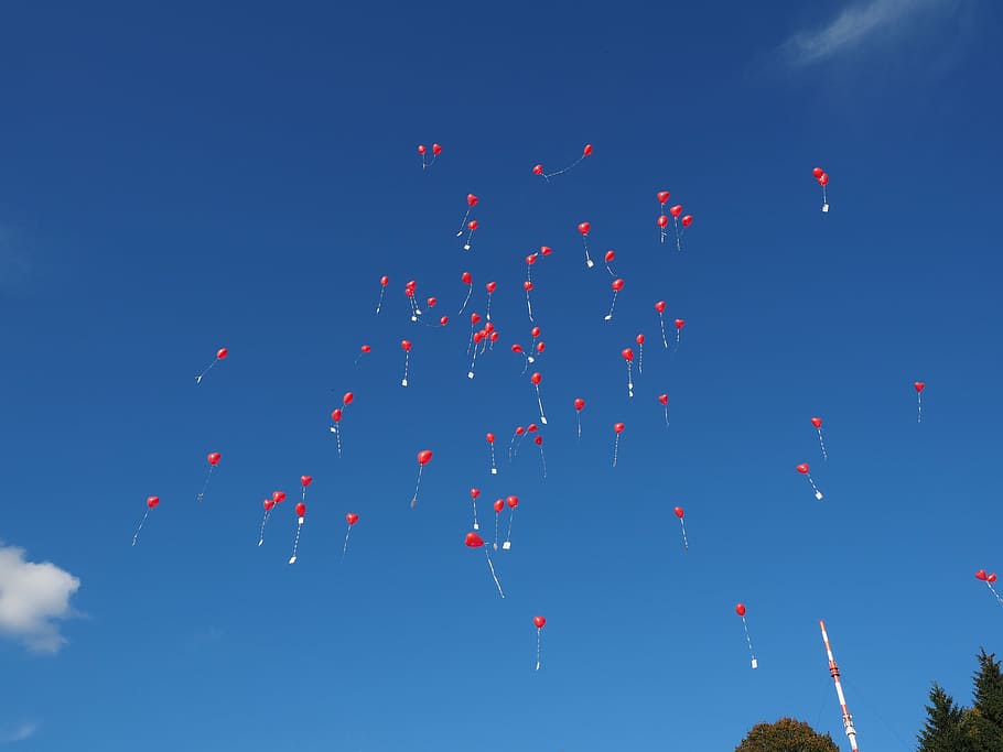 balloons, fly, wedding, congratulations, rise, upgrade, heart HD wallpaper