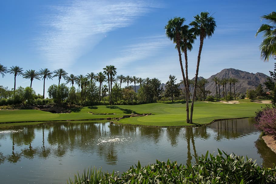 body of water by the trees, lake, sky, golf, course, landscape HD wallpaper
