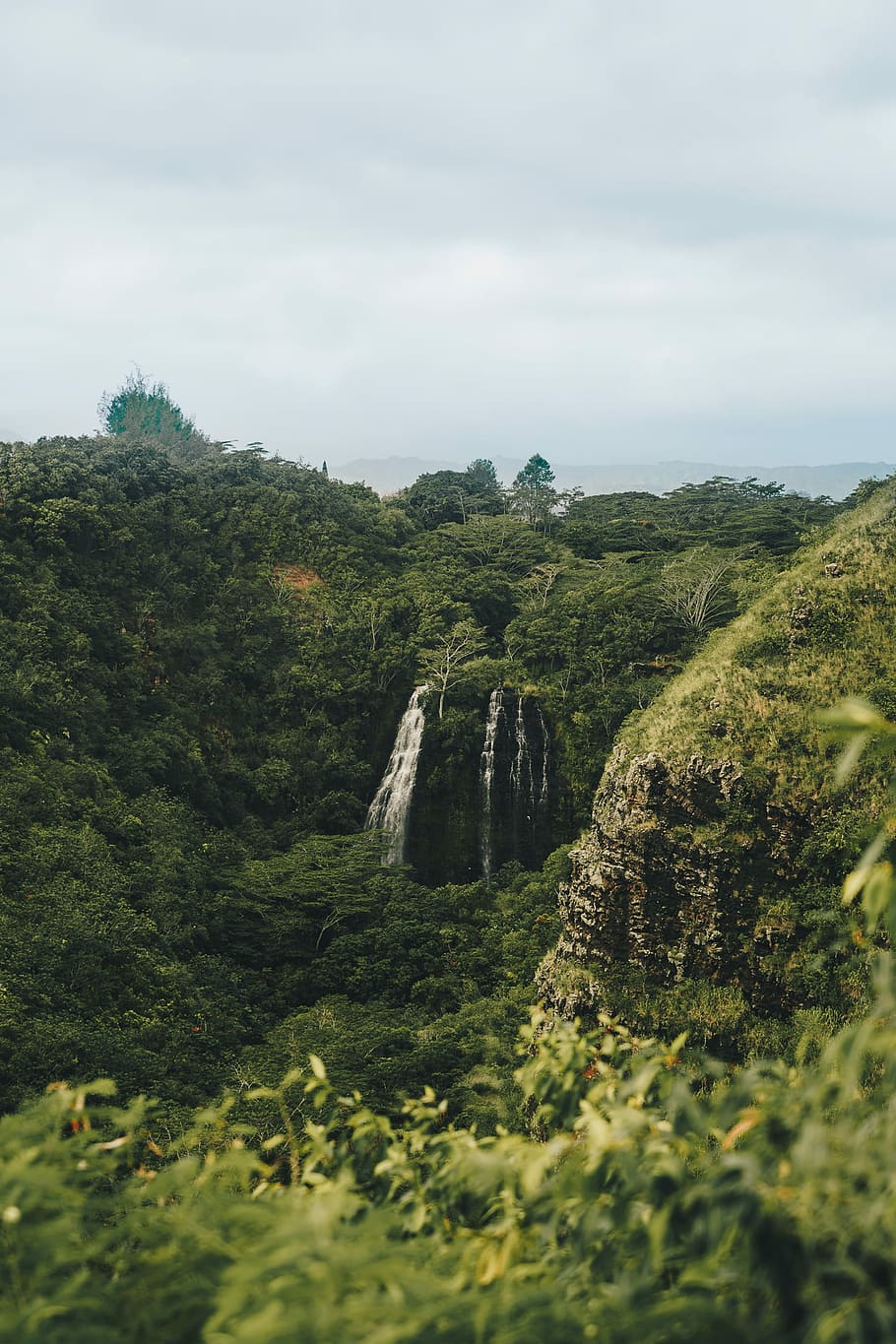 forest with waterfall, green mountain covered in green leafed plants under cloudy sky HD wallpaper