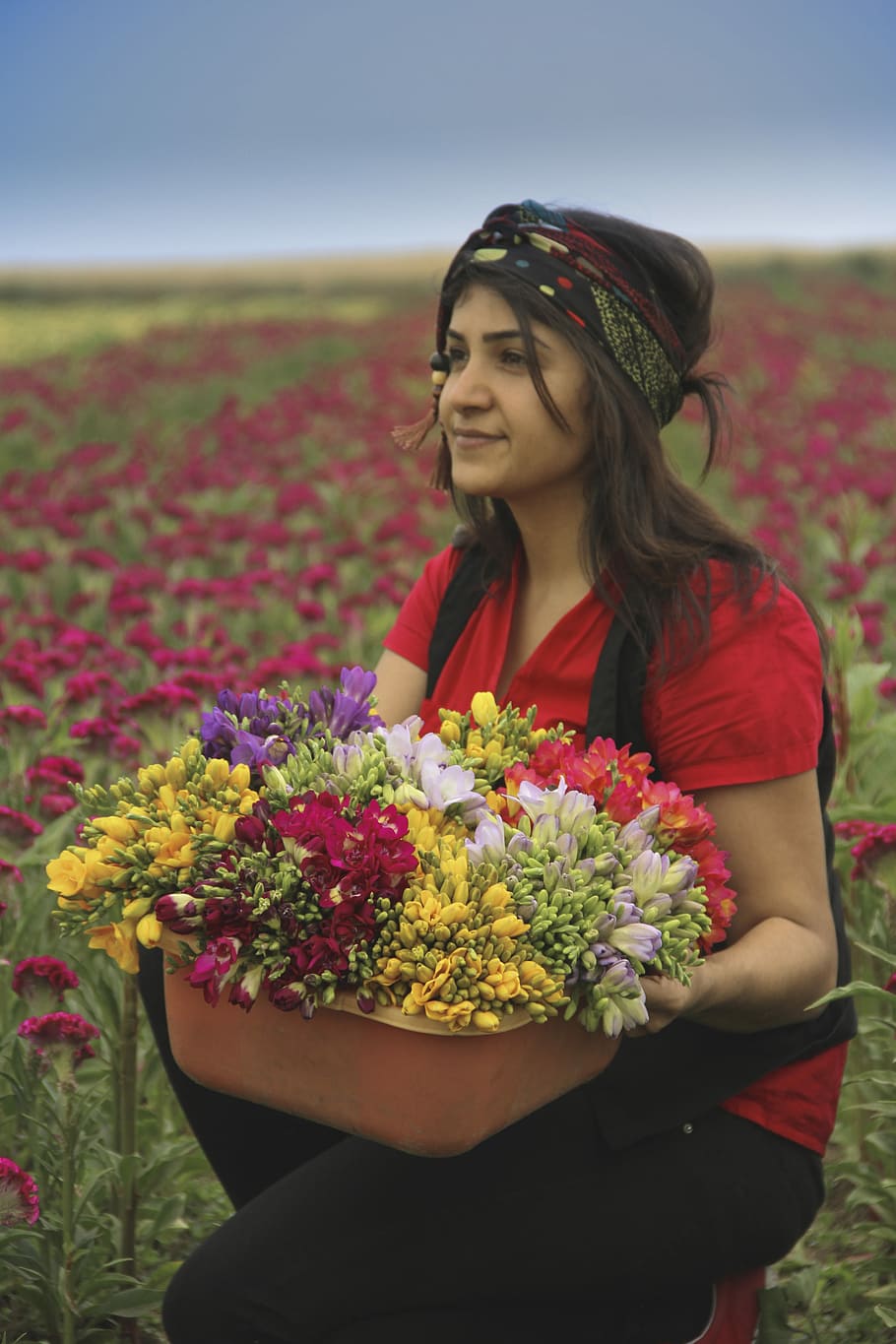 woman holding flowers basket taking photo beside flower field at daytime HD wallpaper
