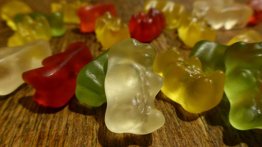 gummi bears, fruit jelly, candy, gelatin, colorful, brand, nibble
