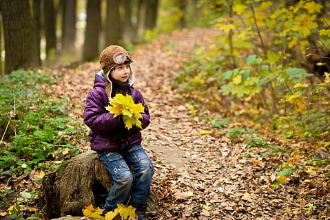 boy, autumn, cap, jacket, baby, park, photographing children HD wallpaper