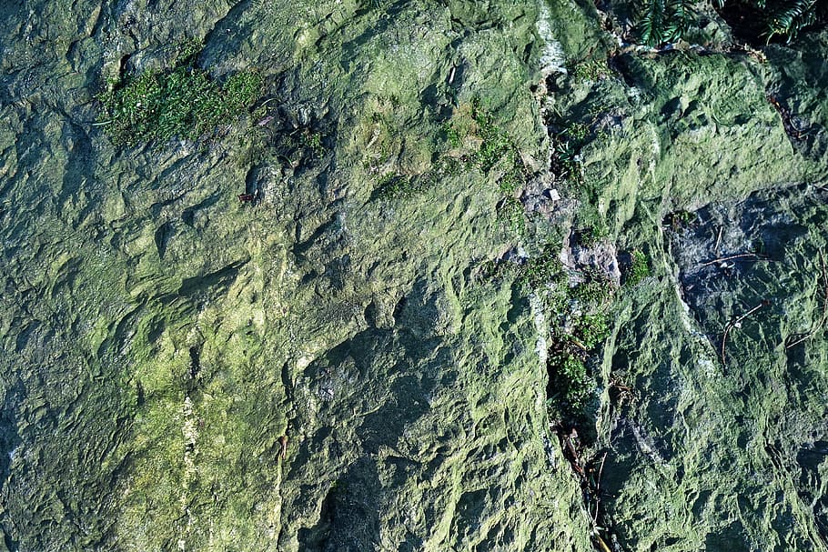 rock, stone, rock surface, rough, lichen, rock texture, rock backdrop HD wallpaper