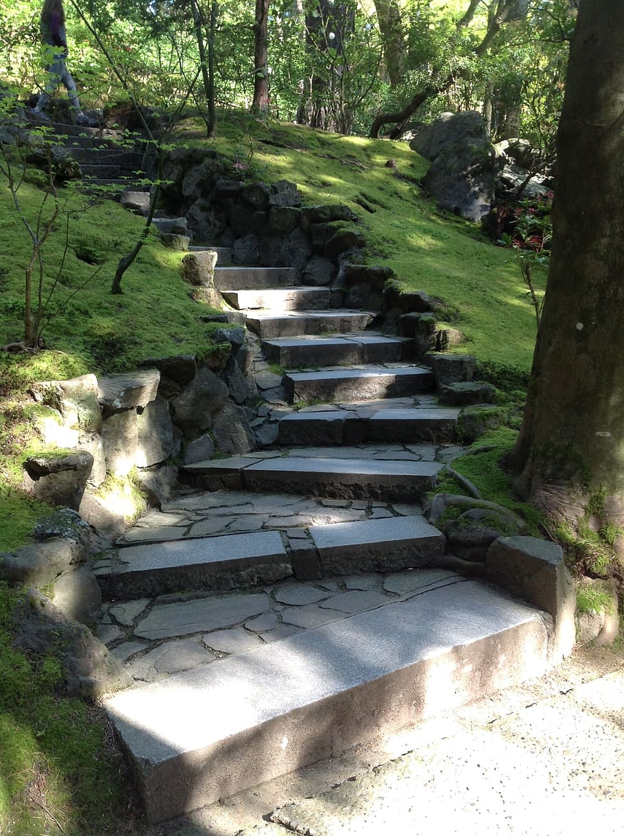 Stairs, Path, Portland Japanese Garden, forest, sunlight, nature, HD wallpaper