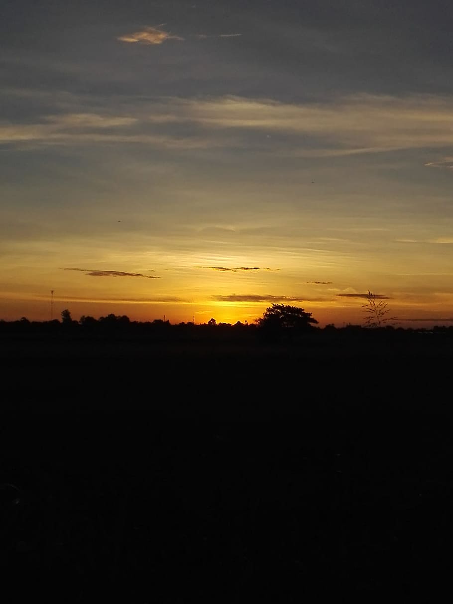 sunrise, cornfield, mead, plain, sky, asia, nature, silhouette HD wallpaper