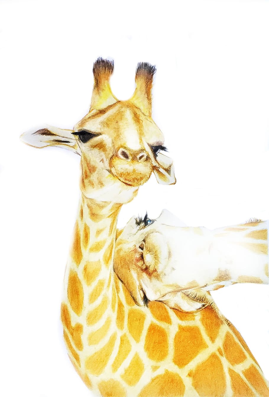 HD wallpaper: Giraffe, Drawing, Animal, Cute, Cartoon, one animal, white  background | Wallpaper Flare