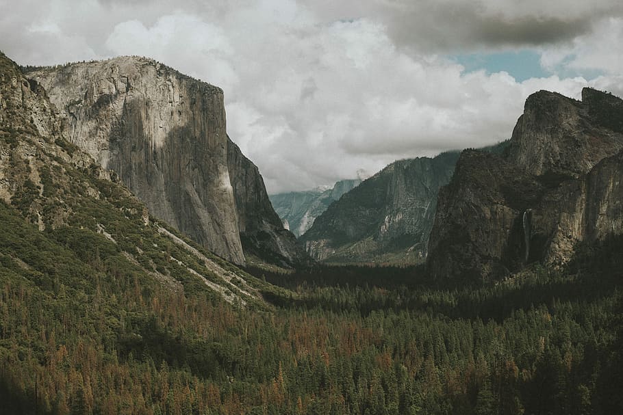 gray mountains and tree, landscape photography of green mountains HD wallpaper