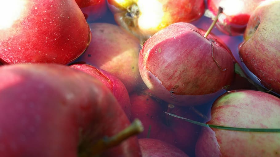 apple, water, aplle, healthy eating, food and drink, fruit HD wallpaper